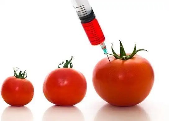 The Truth About GMOs: Separating Health Myths from Scientific Facts in Nigeria