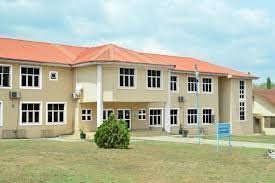 Hospital: Bowen University Teaching Hospital (BUTH)